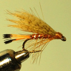 WET RAM 57