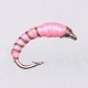 CHIRO PINK FLUO