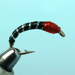 CHIRO EPOXY ORANGE HEAD