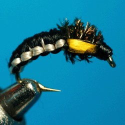 CHIRO RAM 36