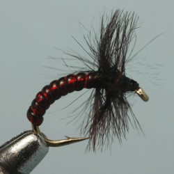 CHIRO RAM 56