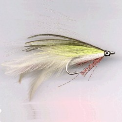 SALTWATER RAM 20