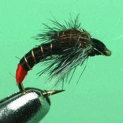 CHIRO RAM 25
