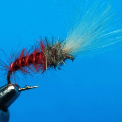 CHIRO RAM 29