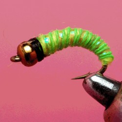 CHIRO RAM 51