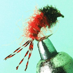SAN JUAN WORM