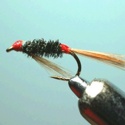 DIALW BACK RAM 11