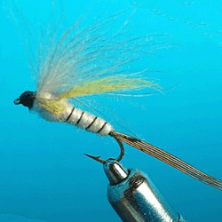 EMERGER CDC  MAI LONGUE TIGE