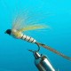 EMERGER CDC  MAI LONGUE TIGE