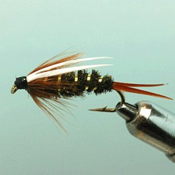 PRINCE NYMPH LONGUE TIGE 