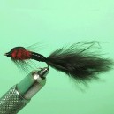 DAMSEL OLIVE LONGUE TIGE 