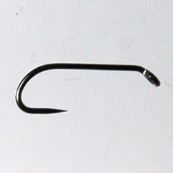 3761 HAMECON TIGE LONGUE NOYEE, NYMPHE 