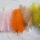 CDC COLORI DIVERS