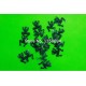 PETITE GRENOUILLE VERTE TACHETE
