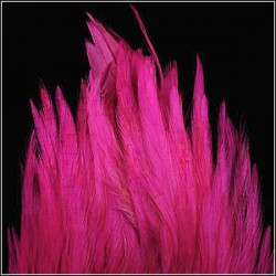 SELLE COQ TEINT ROSE