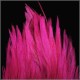 SELLE COQ TEINT ROSE