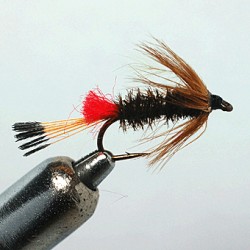 SEVERN