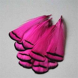 5 PLUMES DE FAISAN LADY AMHERST TEINTEES ROSE