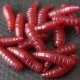 ASTICOT ROUGE