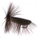 SLOSEDGE LONGUE TIGE