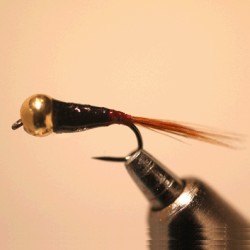 PERDIGONE EPOXY  BILLE OR RAM JOS 3