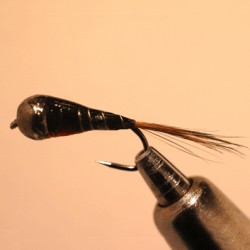 PERDIGONE EPOXY BILLE NOIRE RAM JOS 2