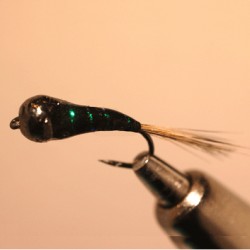 PERDIGONE EPOXY BILLE NOIRE RAM JOS 4