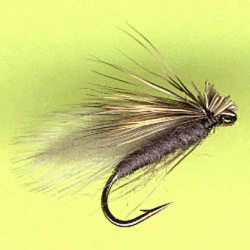 SEDGE RAM 2