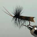 SEDGE RAM 4