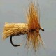 TC GODDARD CADDIS SA
