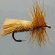 LONG GODDARD CADDIS SA