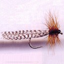 SEDGE MAGNIFIQUE