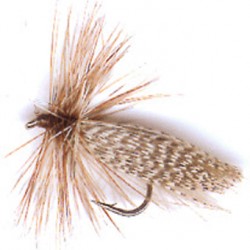SEDGE GRIZZLY LONGUE TIGE