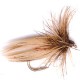 SEDGE MY CANNE LONGUE TIGE