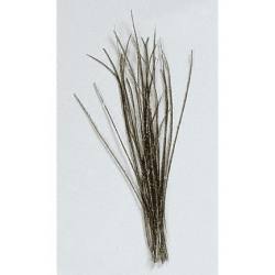 BOUQUET DE 40 HERLES DE PAON