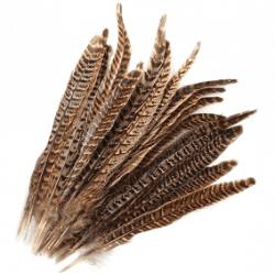  1 PLUME DE FAISAN NATUREL