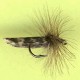 SEDGE RAM 10