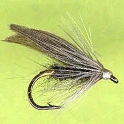 SEDGE RAM 13