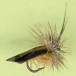 SEDGE RAM 14