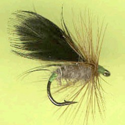 SEDGE RAM 15