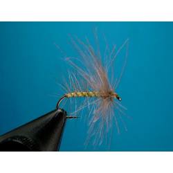 CDC ENROULE LITTLE YELLOW