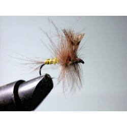 CDC ENROULE MAYFLY