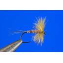 CDC ENROULE GREY FOX