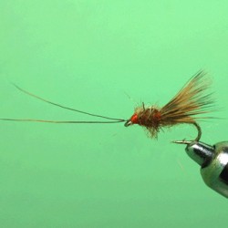 SEDGE RAM 35