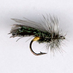 SEDGE RAM 39