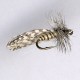 SEDGE RAM 40