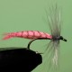 SEDGE RAM 45