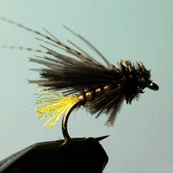 SEDGE RAM 48