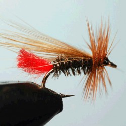 SEDGE RAM 57
