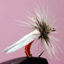 SEDGE RAM 65